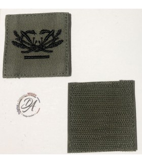 Galon BV Chef des Services