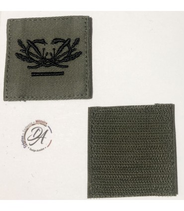 Galon BV Chef des Services