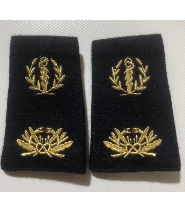 Fourreaux - Chef des Services - SSA