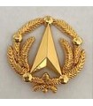 Insigne de Calot DGA