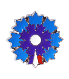 Bleuet de France Pin's