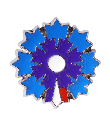 Bleuet de France Pin's