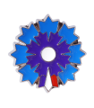 Bleuet de France Pin's