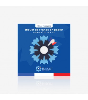 Bleuet de France broche papier