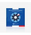 Bleuet de France broche papier