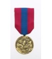 Médaille Defense Nationale BRONZE