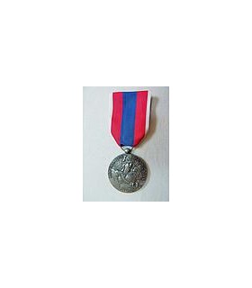 Médaille Defense Nationale ARGENT
