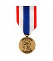 Médaille de la Protection du Territoire