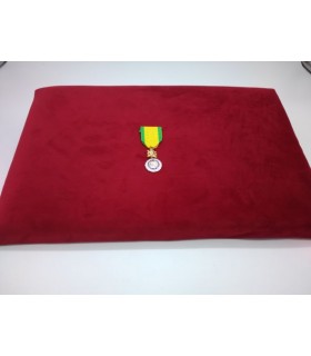 coussin de cérémonie porte médaille devant